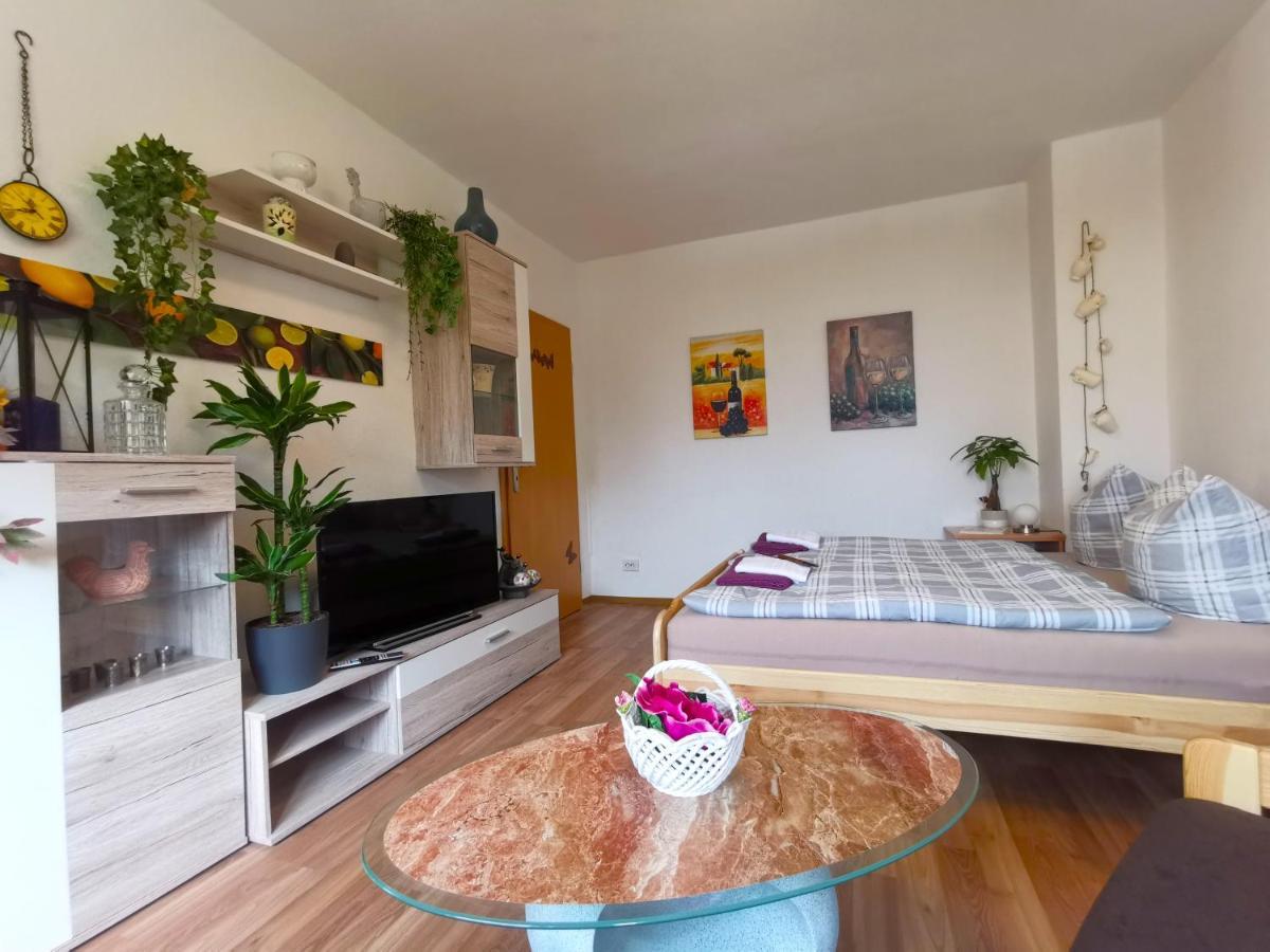 Ferien-Und Gaestewohnung Radebeul Kültér fotó